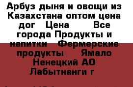 Арбуз,дыня и овощи из Казахстана оптом цена дог › Цена ­ 1 - Все города Продукты и напитки » Фермерские продукты   . Ямало-Ненецкий АО,Лабытнанги г.
